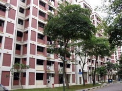 jurong-west-street-61 photo thumbnail #16